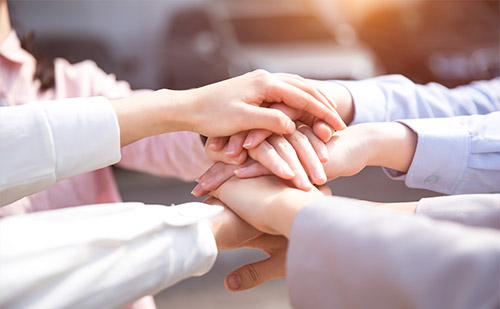 mansion88·明升(中国游)官方网站