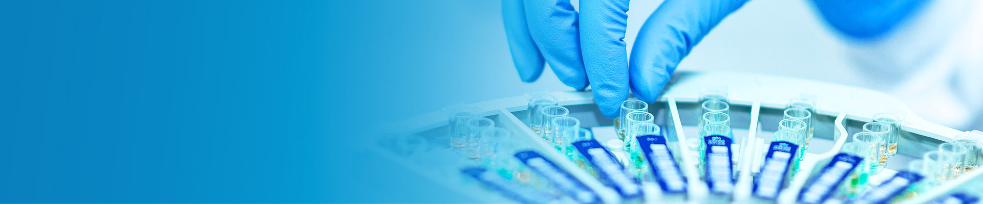 mansion88·明升(中国游)官方网站