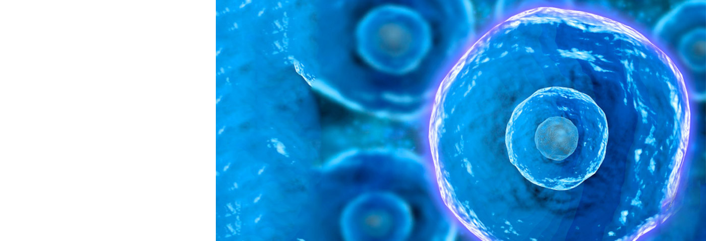 mansion88·明升(中国游)官方网站