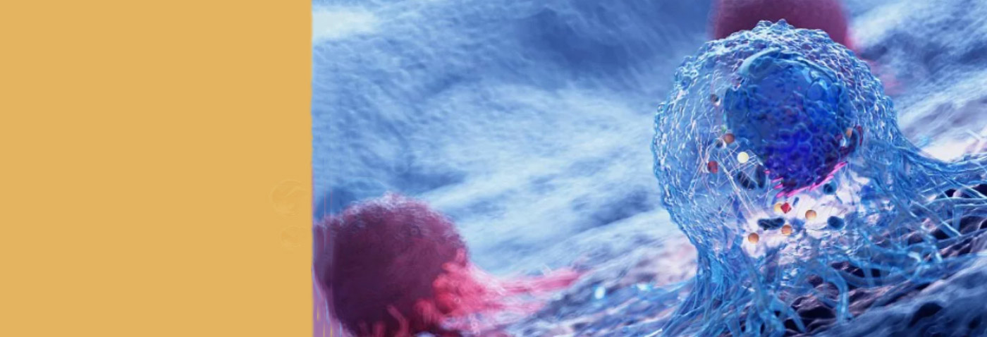 mansion88·明升(中国游)官方网站