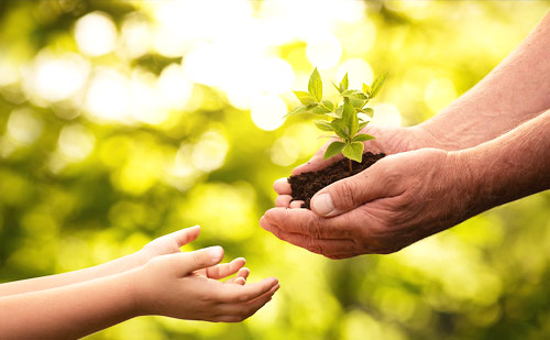 mansion88·明升(中国游)官方网站