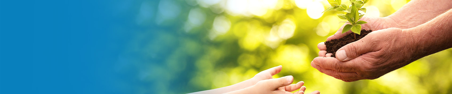 mansion88·明升(中国游)官方网站